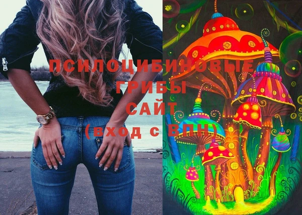 МДПВ Абаза